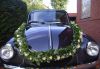 VW-Kaefer-Black-and-White_2