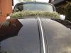 VW-Kaefer-Black-and-White_3