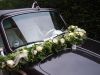 VW-Kaefer-Black-and-White_4