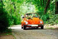 Ina-Carsten_small