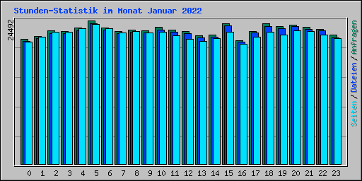 Stunden-Statistik im Monat Januar 2022