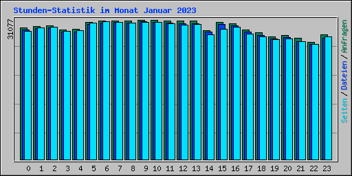 Stunden-Statistik im Monat Januar 2023
