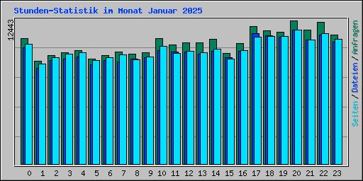 Stunden-Statistik im Monat Januar 2025