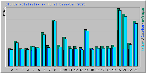 Stunden-Statistik im Monat Dezember 2025