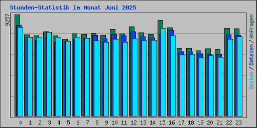 Stunden-Statistik im Monat Juni 2025