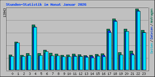 Stunden-Statistik im Monat Januar 2026
